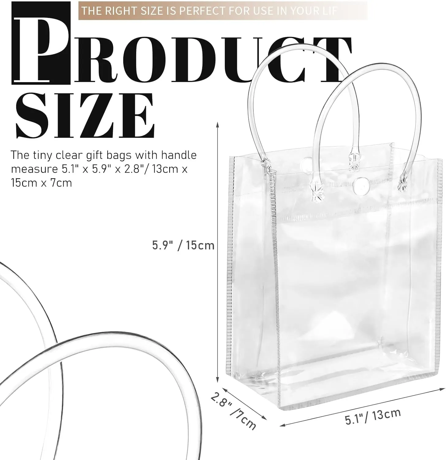 BadenBach 24 PCS Mini Clear Gift Bags with Handle,5.1" x 5.9" x 2.8", Transparent Small Plastic Gift Wrap Bags Bulk Reusable Clear Party Favor Goodie Bag for Boutique Wedding Birthday Mother's Day