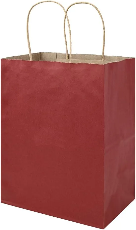 bagmad 100 Pack Multicolour Medium Gift Bags with Handles Bulk, 8x4.75x10 Inch White/Black/Green/Blue/Red Each 20pcs Kraft Birthday Party Favors Grocery Retail Shopping Craft Paper Bags (Multi Colored)