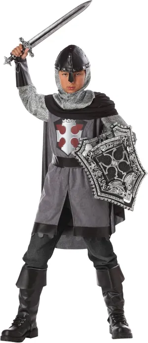 California Costumes Boys Dragon Slayer Costume - Size -Large (10-12)