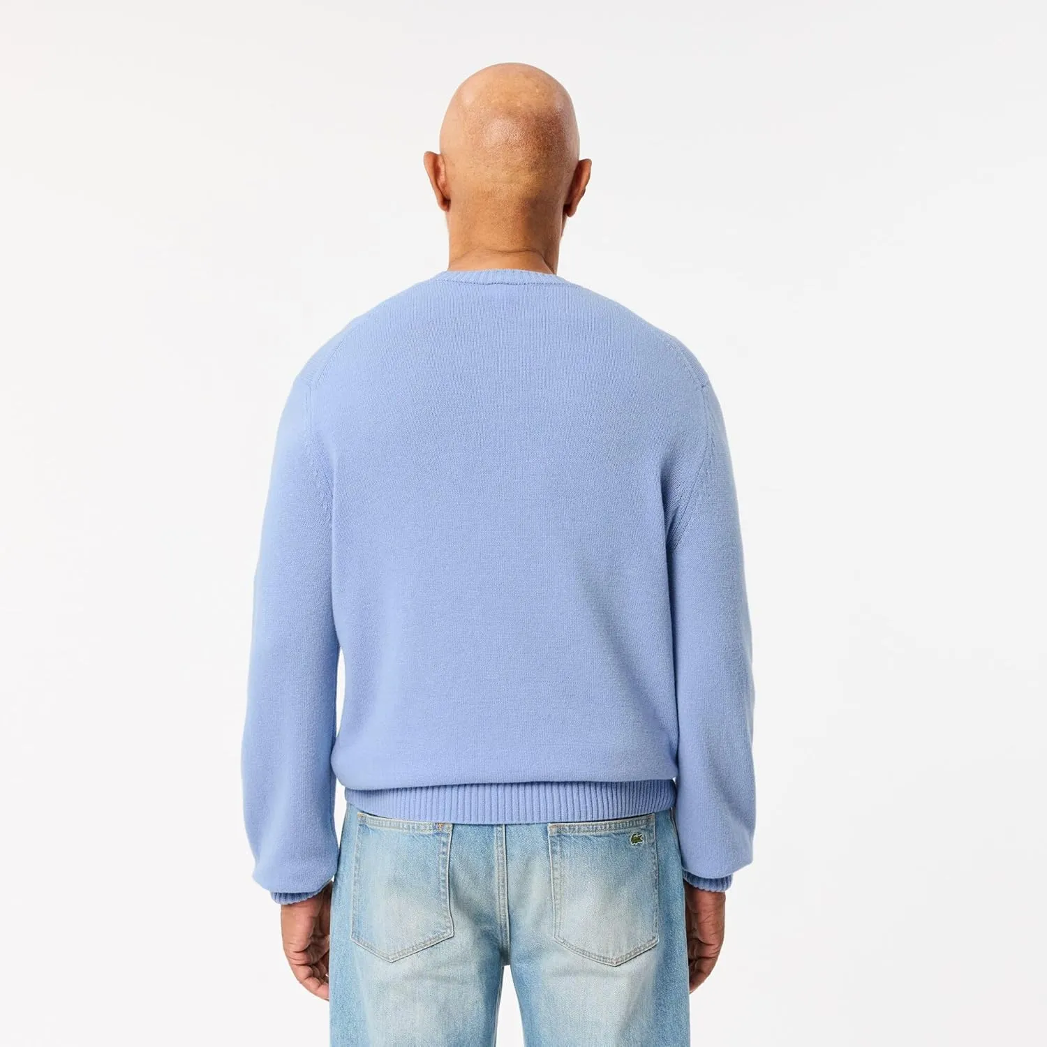Lacoste Men's Carded Wool Crew Neck Sweater