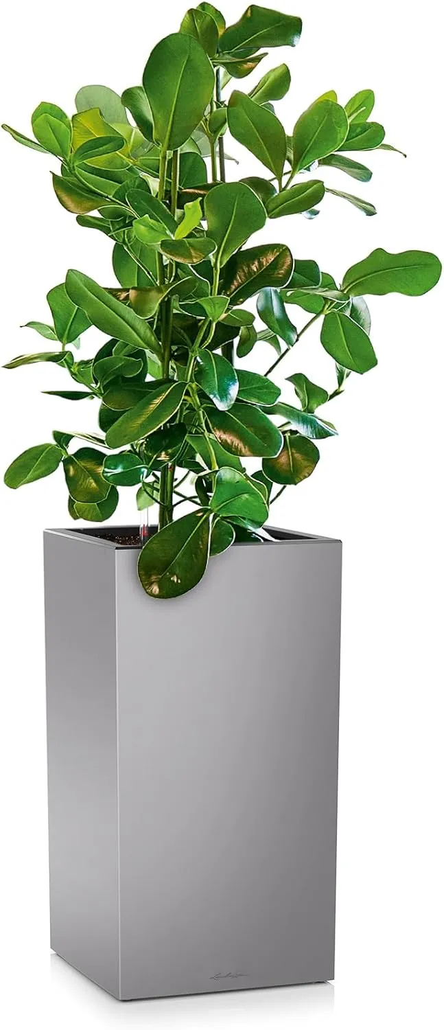 Lechuza Canto Premium 40 high Silver Metallic 13658