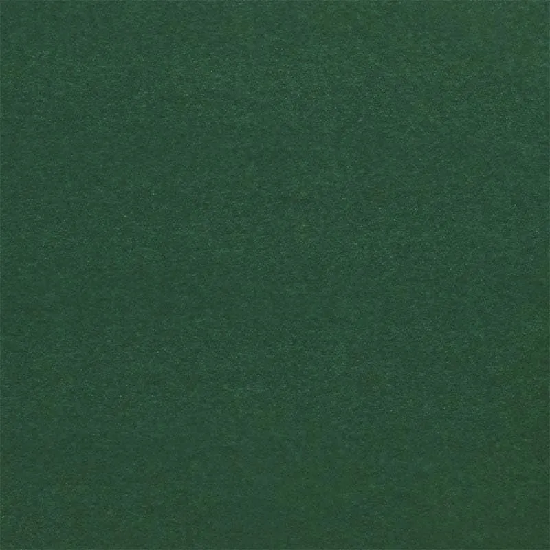Paper Mart Forest Green Tissue Paper, Bulk Quantity of 400 Sheets, Colored Tissue Paper for Gift Bags and Crafts, 20 x 26 Inch Sheets