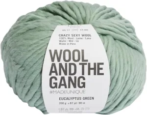 WATG Wool And the Gang Crazy Sexy Wool 200g 80m 87yd - Eucalyptus Green